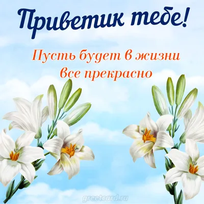 Открытка с именем Все хорошо Привет картинки. Открытки на каждый день с  именами и пожеланиями.