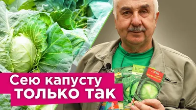 12 лучших сортов ранней капусты: описание, особенности выращивания | ivd.ru