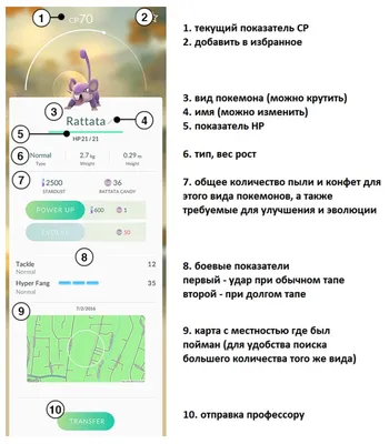 10 самых крутых покемонов в Pokemon GO