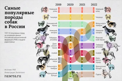 Все, что нужно знать о корги - РИА Новости, 30.10.2020