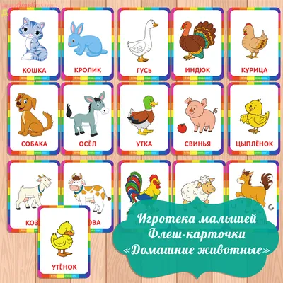 ТОП-7 краснокнижных животных Казахстана - el.kz
