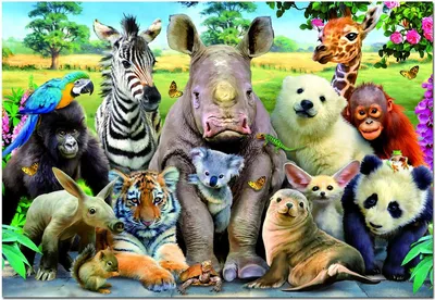 картинки животных для детей с названием скачать для распечатки