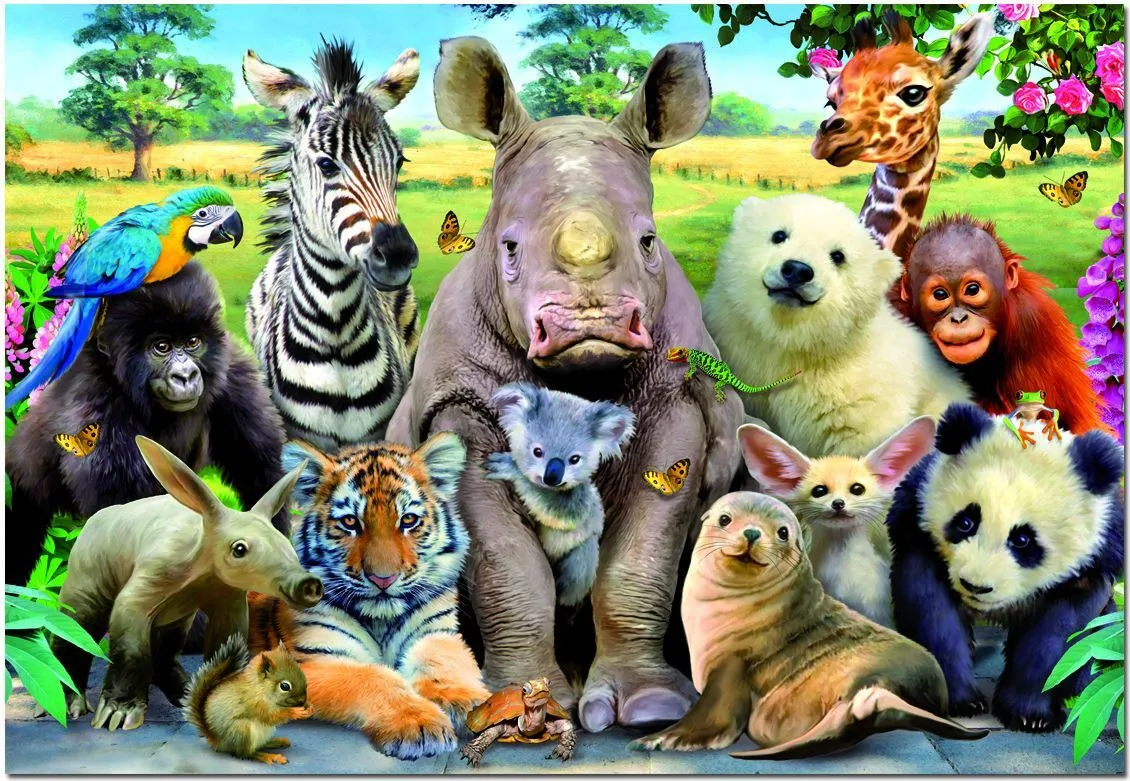 Игры много зверей. Разные животные. Много животных на одной картинке. Разные животные вместе. Животные зоопарка.