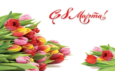 РГБИ поздравляет всех женщин с праздником 8 марта!