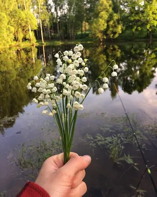 Всем добра! | Пикабу