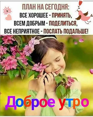 Всем доброго утра, хорошего дня.Здоровья, улыбок, ... - Елена, №2555798635  | Фотострана – cайт знакомств, развлечений и игр