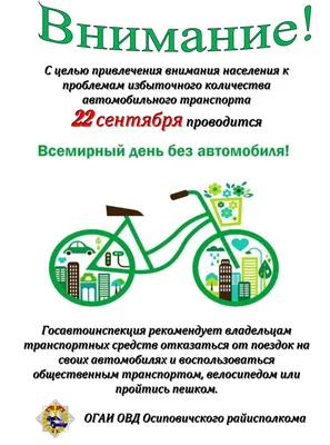 22 сентября мир отмечает «Всемирный день без автомобиля» -  osipovichi-region.by