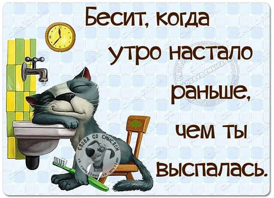 В какой нибудь вторник проснувшись не рано. Утренний юмор в картинках. Тяжелое утро картинки. Доброе раннее утро смешная. Утренние приколы в картинках.