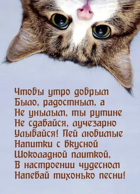 Красивые пожелания с добрым утром: стихи, проза, открытки - МЕТА