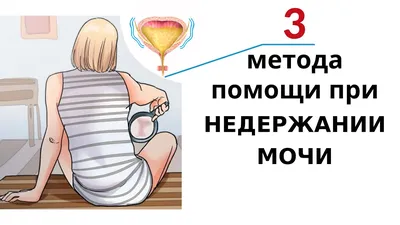 Вумбилдинг - все, что вы должны знать - kegel-pf.ru