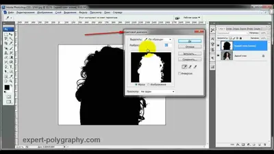 Как вырезать объект в Photoshop. 4 простых способа | Объекты, Разное