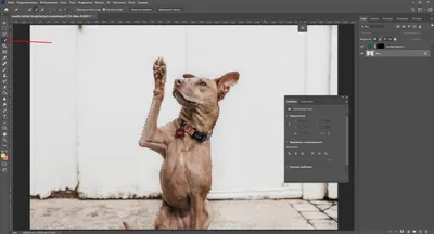 Как изменить цвет объекта в Adobe Photoshop – База знаний Timeweb Community