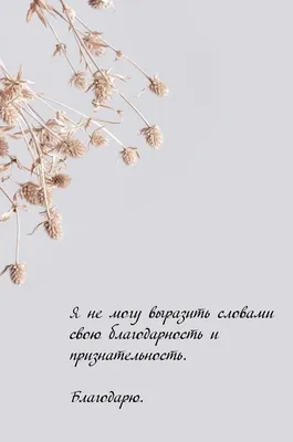 Картинки с надписью - Я не могу выразить словами свою благодарность и  признательность..