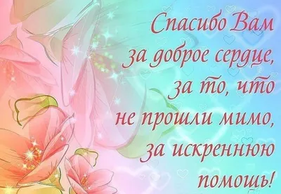 Я не знаю, как выразить свою благодарность каждому, кто разделил со мной  эти кадры. И я не знаю, как осознать, что эти картинки мои и они… |  Instagram