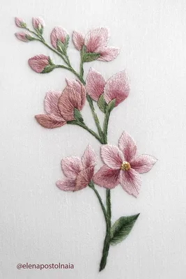 Вышивка гладью Розовые цветы embroidery needlework handmade | Вышивка  цветов, Вышивка гладью, Вышивка