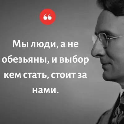 лучшые цитаты великих людей о разном в жизни в картинках | Norm | Дзен