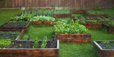 Как огородить грядки на огороде своими руками: преимущества, материал,  советы