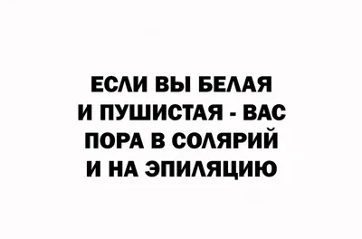 Купить Кошки-отчаи. Вызывающие басни о храбрых хвостатых Кимберли Гамильтон  - цена от издательства Ранок Креатив