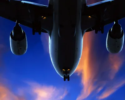 Взлетающий самолет на фоне пальм - обои на рабочий стол