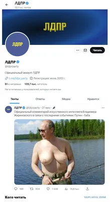 Это официальный Twitter партии ЛДПР. Чё то как то из под контроля выходит  ситуация - ЯПлакалъ