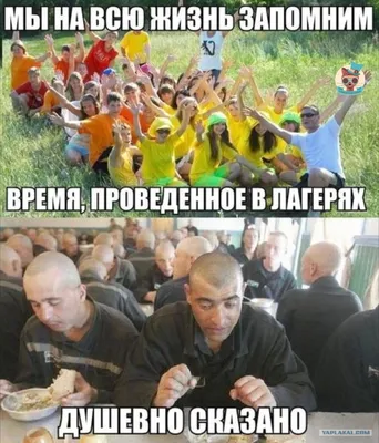 Что будет, если заклеить номер или цифру на госномере: в ГИБДД все  объяснили :: Autonews