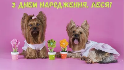 Олеся, з днем народження! | Birthday images, Birthday, Poster