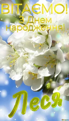 Pin by Леся Бойчун on ДН | Birthday wishes, Happy birthday, Postcard