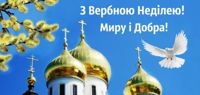 Вербна неділя 2 квітня – вітання у картинках та прозі - Апостроф