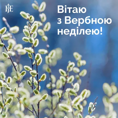 Картинки з Вербною неділею 2023 – листівки та відкритки для привітання -  Радіо Незламних