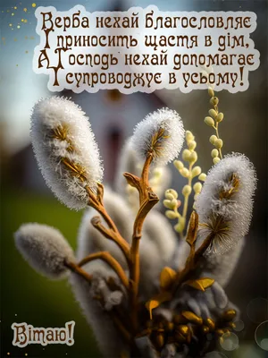 Вербна неділя: привітання у віршах, листівках та прозі ✓ ВЕСТИ