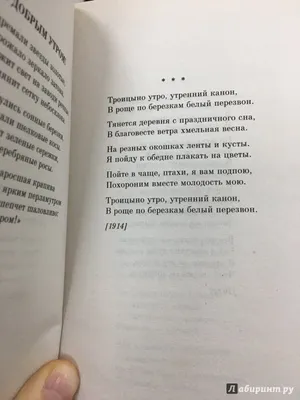 Вильдар, ветеринарная клиника, ул. Болдина, 117Б, Щёкино — Яндекс Карты