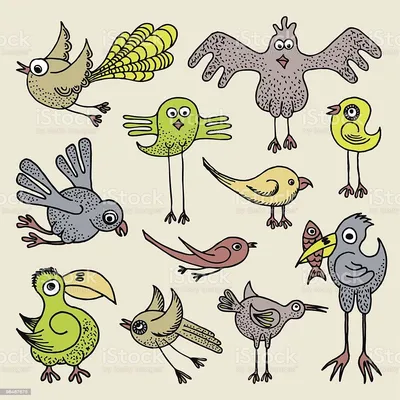 Эти смешные и забавные птицы | Sputnik Узбекистан | Дзен