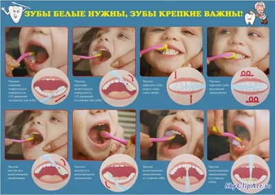 Средства и методы гигиены полости рта. Как ухаживать за полостью рта