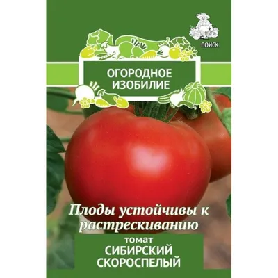 Болезни томатов, фото, описание и способы лечения | Агро Сіті