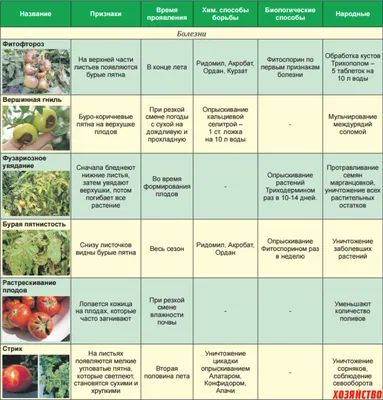 Болезни томатов: лечение, профилактика, признаки, фото. Болезни помидоров в  картинках