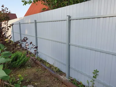 Забор из профнастила для сада: фото лучших вариантов