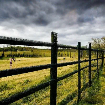 хороший деревянный забор вокруг дома. деревянный забор с зеленым газоном.  вход Стоковое Изображение - изображение насчитывающей трава, дом: 259317273