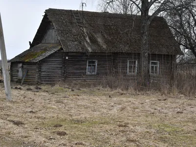 Заброшенный дом в центре города не могут снести из-за собственников (ФОТО;  ВИДЕО) — Новости Хабаровска