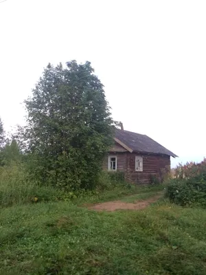 Старый заброшенный дом зимой вид …» — создано в Шедевруме