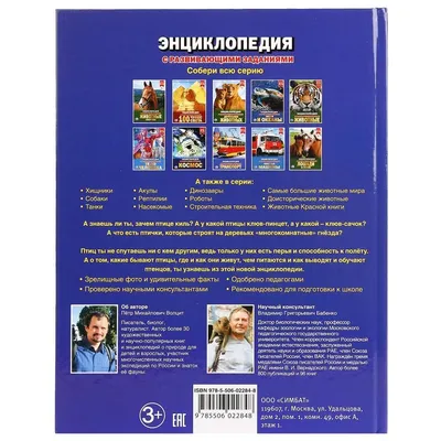 Вес в ущерб функционалу: зачем вывели куроголубей? (6 фото) » Невседома