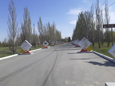 Сохраняя природу: как волонтёры Омского завода смазочных материалов провели  субботник в «Птичьей гавани» — Банки Омска