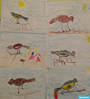 Конспект занятия по рисованию «Птичка на ветке» (старшая группа) (2 фото).  Воспитателям детских садов, школьным учителям и педагогам - Маам.ру
