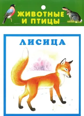 Математика. 1 класс (часть 1). Моро, Волкова, Степанова. Стр. 84-93.  Решения | Математика (от школы до логики) | Дзен