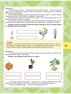 Решение логических задач — как решать задачи на логику