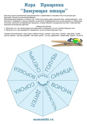 Конкурсы для детей и педагогов ОЦ Путь знаний