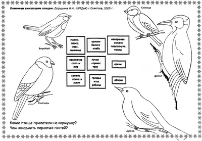 Игра с прищепками \"Зимующие птицы\" | Дефектология Проф