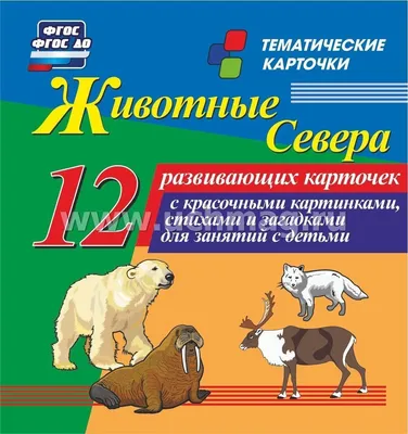 Животные севера: 12 развивающих карточек с красочными картинками, стихами и  загадками для занятий с детьми – купить по цене: 99 руб. в  интернет-магазине УчМаг