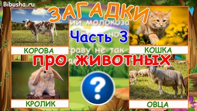 ЗАГАДКИ ПРО ЖИВОТНЫХ - Часть 3 | Загадки для детей - YouTube