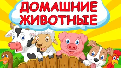 Загадки о животных - купить в 05.RU, цены, отзывы