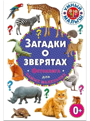 Песенки, потешки, загадки для маленьких Ушинский К.Д., Шейн П., Капица О.И.  - купить книгу с доставкой по низким ценам, читать отзывы | ISBN  978-5-17-145545-3 | Интернет-магазин Fkniga.ru